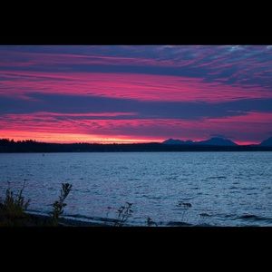 Meet your Posher, Shelly